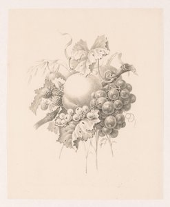 Složení ovoce od Maria Geertruida de Goeje Barbiers (attributed to)