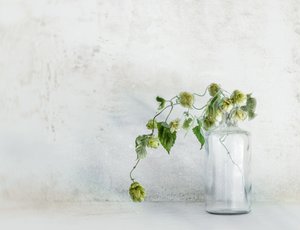  od Marie-anne Stas