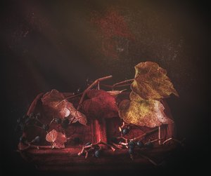 Melancholické podzimní listí od Marie-anne Stas