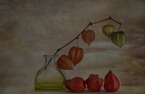 Tiché podzimní lucerny od Marie-anne Stas
