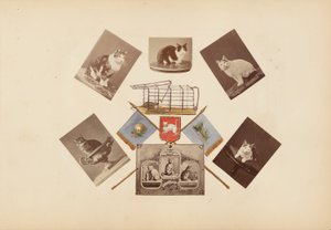 Album Madame B od Marie-Blanche-Hennelle Fournier