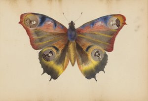 Album Madame B od Marie-Blanche-Hennelle Fournier