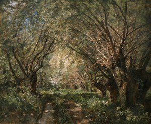 Willow Avenue ve Stillfriedu an der March