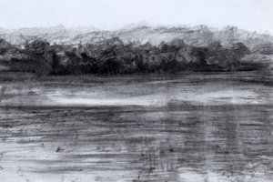 Jezero, 2023 (olej a uhel na papíře) od Marina Falco