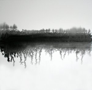 Odraz v monochromatickém lese od Marina Nelson