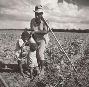 Černoška dává dětem napít na poli, kde okopává bavlnu v rámci projektu FSA Cooperative (Allen Plantation)