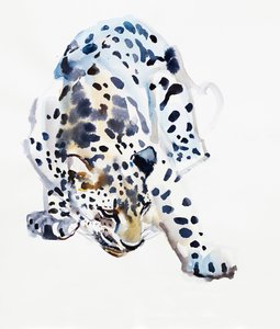Arabský leopard, 2008 od Mark Adlington
