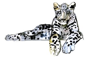 Arabský leopard, 2008 od Mark Adlington