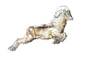 Arabian Tahr, 2009 (conte a dřevěné uhlí na papíře) od Mark Adlington