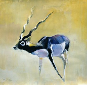 Black Buck, Velavadar, 1997 (kombinovaná média na papíře) od Mark Adlington