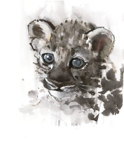 Modré oči (mládě arabského leoparda), 2008 od Mark Adlington