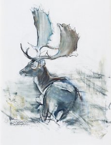 Buck in the Grass, 2006 (charcoal und conte na papíře) od Mark Adlington
