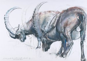 Příprava na zimu, 2006 (uhlí a konte na papíře) od Mark Adlington