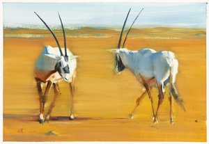 Circling Arabian Oryx, 2010 (olej na papíře) od Mark Adlington