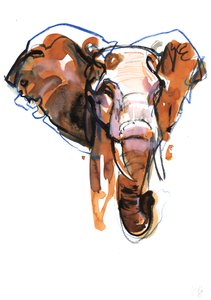 Studie Elephant Head, 2018 od Mark Adlington
