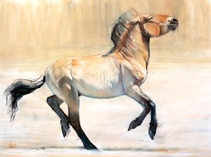 Equus (Przewalski), 2014, (pastel a uhel na papíře)