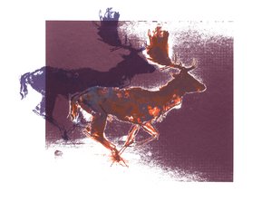 Laní jeleni (orangelilac), 2015, (sítotisk) od Mark Adlington
