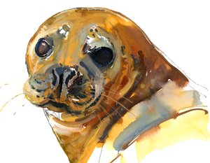 Ginger Pup, Westcove, 2023 od Mark Adlington