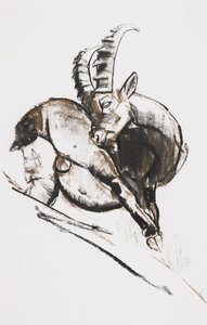 Škrábání (uhlí a konte na papíře) od Mark Adlington