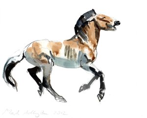 Řek (Przewalski), 2012, (kombinovaná technika na papíře) od Mark Adlington
