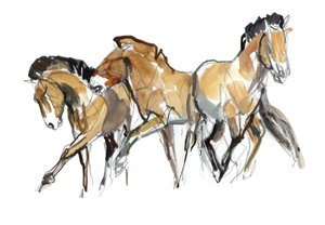 Mistral Three (Przewalski), 2013 (sennelier inkoust, akvarel a kvaš)
