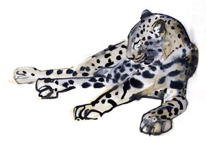 Ležící (arabský leopard), 2008 od Mark Adlington