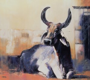 Posvátná kráva, Bhuj, 1996 (olej na papíře) od Mark Adlington