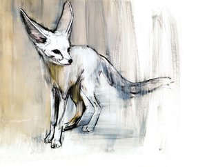 Písečná liška, 2009 (conte a uhel na papíře) od Mark Adlington