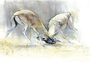 Sand Gazelles, 2009 (conte & dřevěné uhlí na papíře) od Mark Adlington