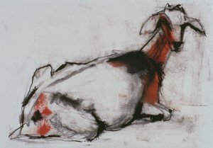Sedící koza, 1998 (conte a dřevěné uhlí na papíře) od Mark Adlington