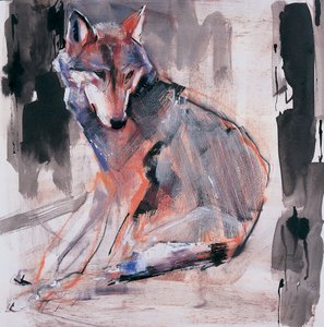 Sitting Wolf, 2000 (kombinovaná média na papíře) od Mark Adlington