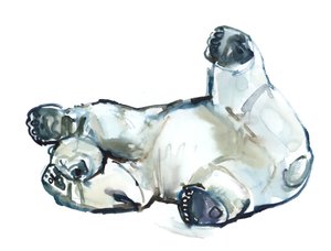 Sněhový potěr (Lední medvěd), 2013 (akvarel a kvaš na papíře) od Mark Adlington