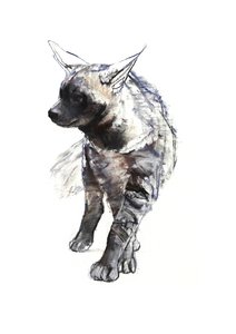 Pruhované štěně hyeny, 2010, (conté a pastel na papíře) od Mark Adlington
