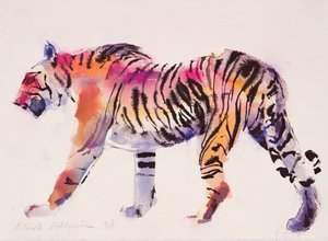 Stripey (inkoust a wc na papíře)