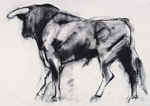 Toro Azul, studium (uhlí na papíře) od Mark Adlington