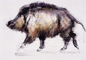Divočák, 1999 (grafit, konta a uhel na papíře) od Mark Adlington