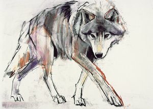 Wolf (kombinovaná média na papíře) od Mark Adlington
