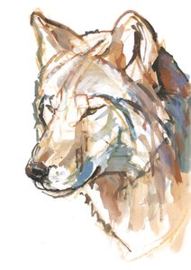 Vlk, 2018 od Mark Adlington