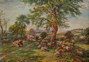Hill and Dale, c1900 1935