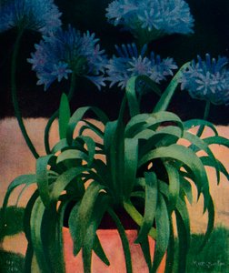 Agapanthus, 1914, c1932 od Mark Gertler