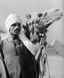 Cameldriver u pyramid, Egypt, 1937