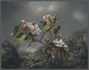 Apple Blossoms and Hummingbird, 1871 od Martin Johnson Heade