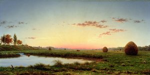 Kupky sena na Newburyport Marshes, 1862 od Martin Johnson Heade