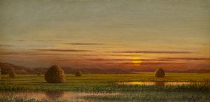 Bažiny od Martin Johnson Heade