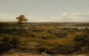 Skály v Nové Anglii od Martin Johnson Heade