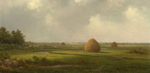 Pohled na Marshfield od Martin Johnson Heade
