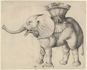 Slon od Martin Schongauer