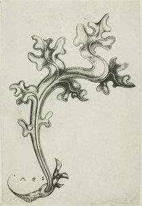 Ozdoba z listů od Martin Schongauer