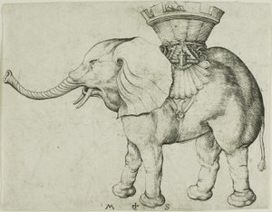 Slon od Martin Schongauer