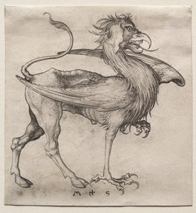 Griffin od Martin Schongauer